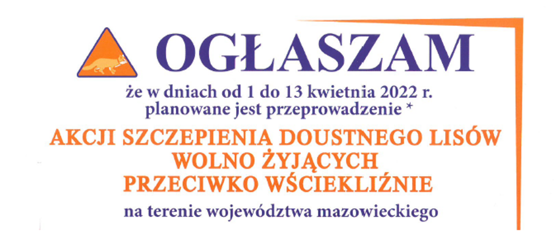 szczepienia_lisów