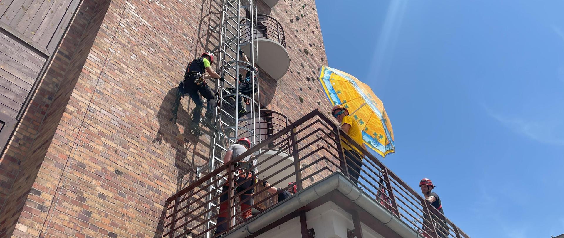 strażacy wchodzą po drabinie zewnętrznej części wspinalni