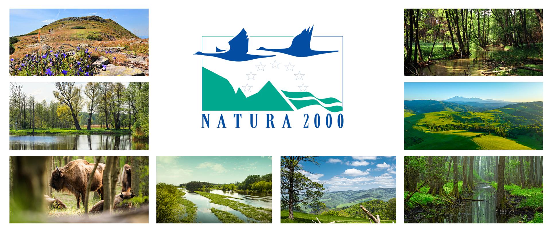 W centralnym miejscu logo Natura 2000 (dwa ptaki lecące nad górami). Dookoła zdjęcia obszarów Natura 2000 w Polsce, m.in. żubry, mokradła, góry, las.
