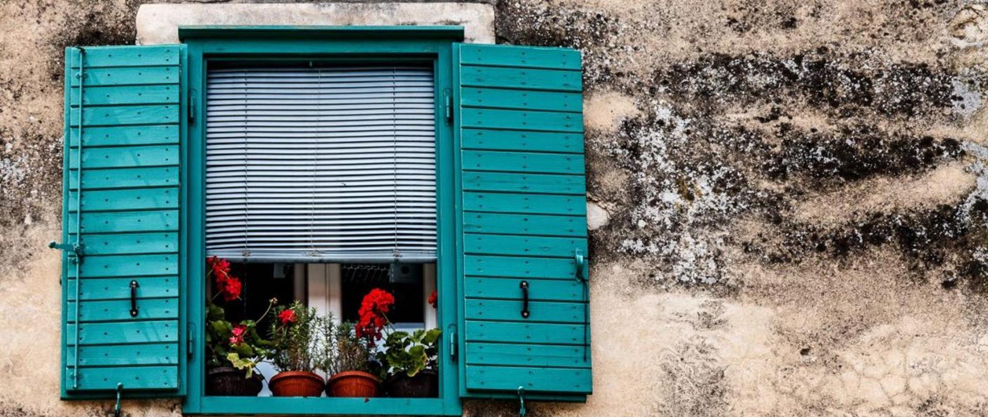 zdjęcie do artykułu