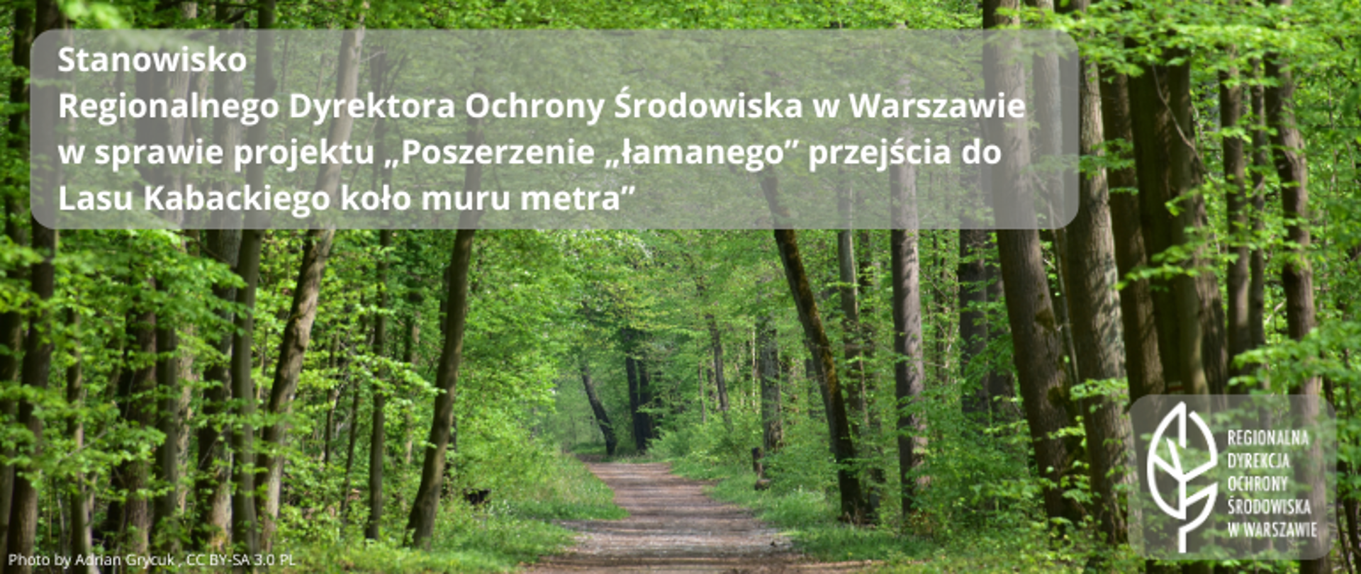 Ścieżka w liściastym lesie, logo i hasło 