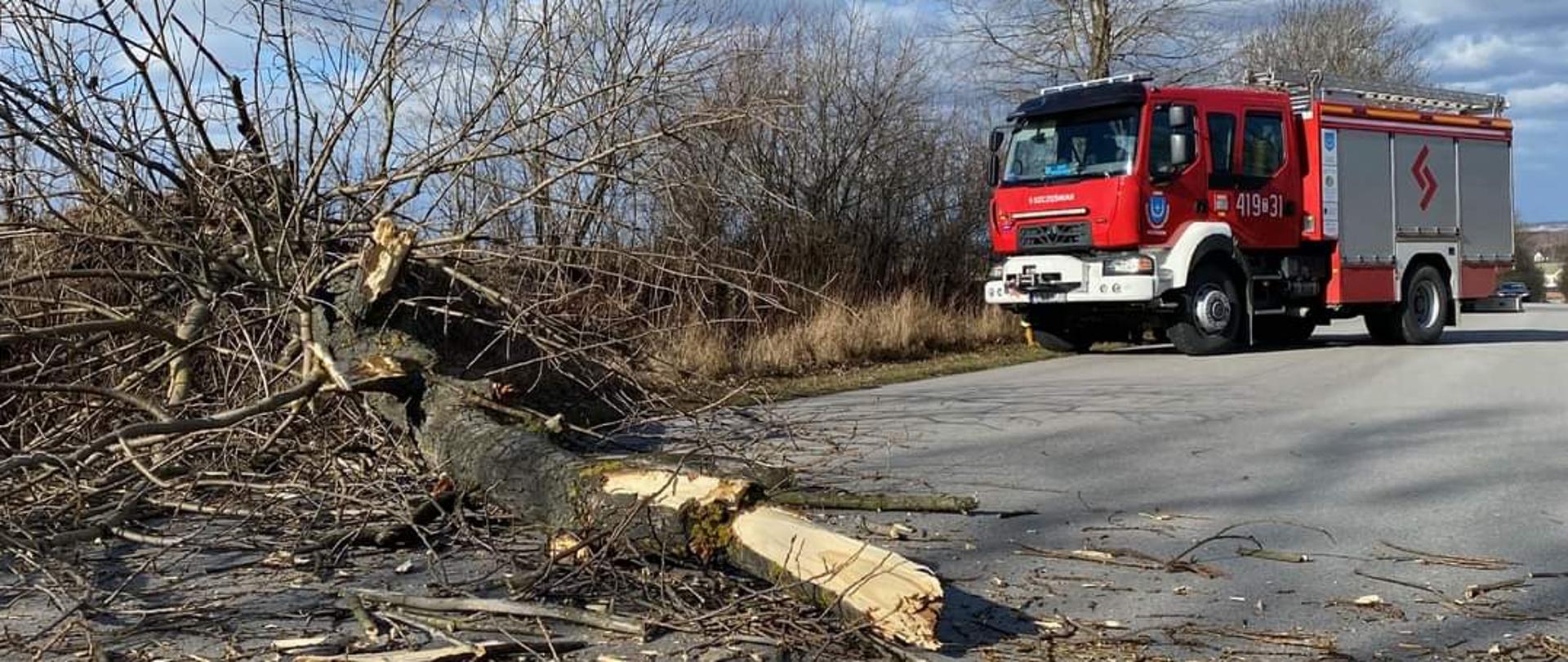 Zdjęcie przedstawia powalone na drogę drzewo, które blokuje ruch w obu kierunkach. Przed drzewem zaparkowany samochód ratowniczo-gaśniczy.
