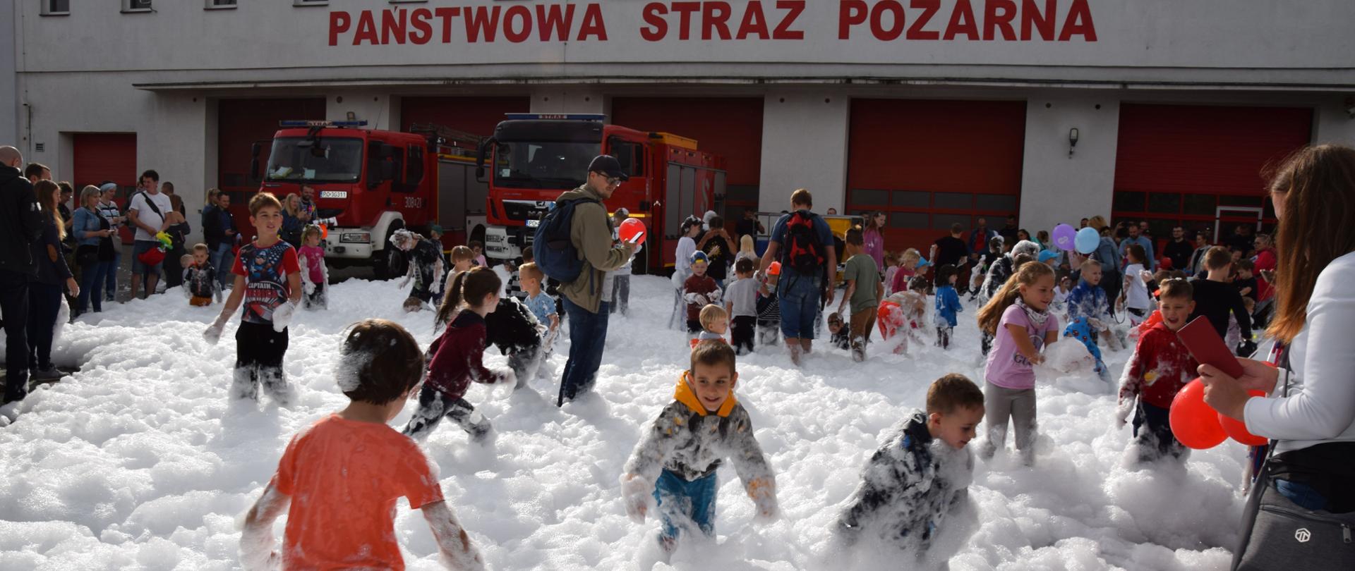 PIKNIK RODZINNY "BEZPIECZNI W POWIECIE POZNAŃSKIM"