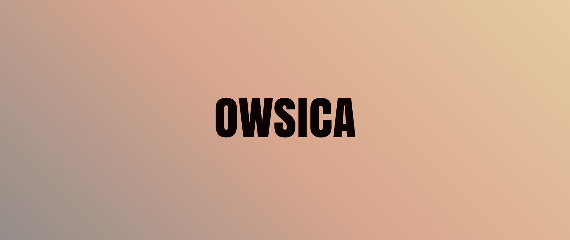Na grafice jest napisane: owsica. Tło jest brązowe.