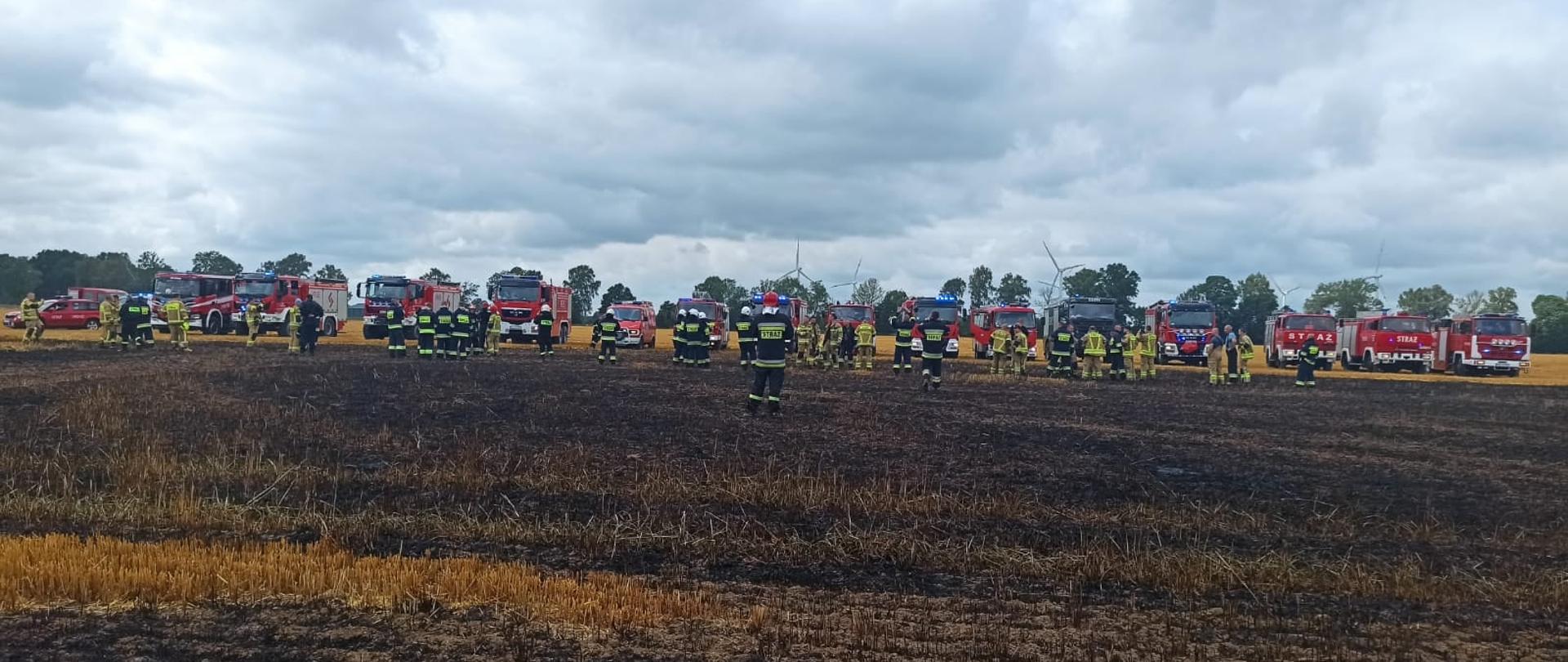 Zdjęcie przedstawia spalone pole wraz z ratownikami uczestniczącymi w zdarzeniu.