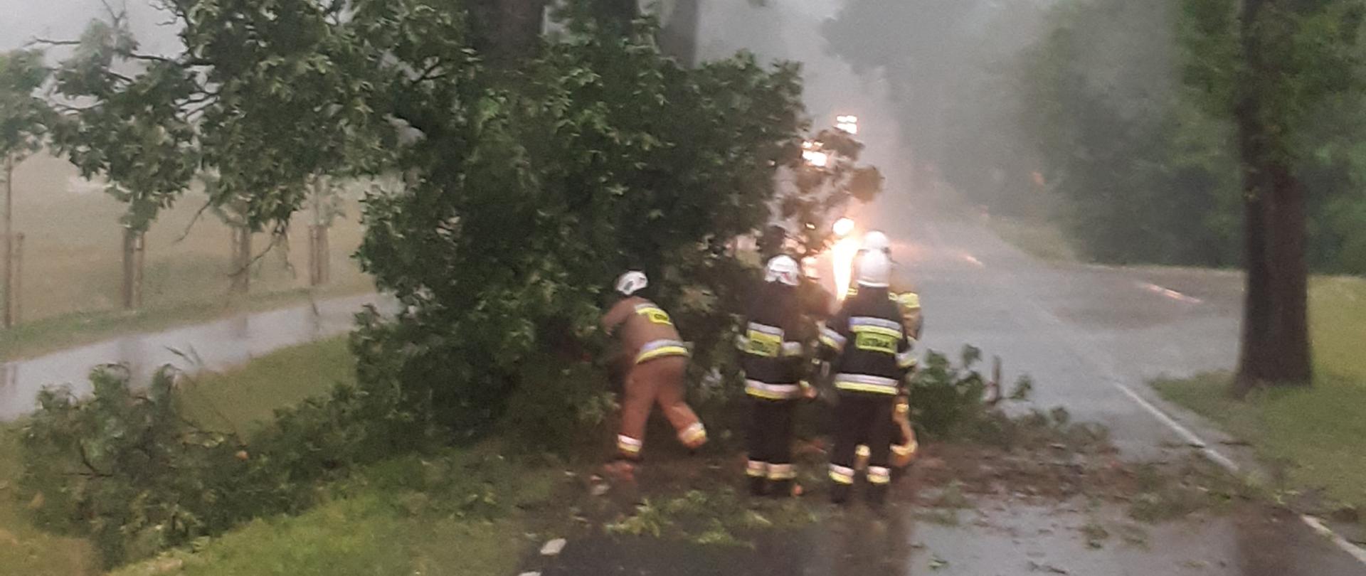 Nawałnica nad powiatem nowomiejskim. Strażacy usuwają połamane drzewo.