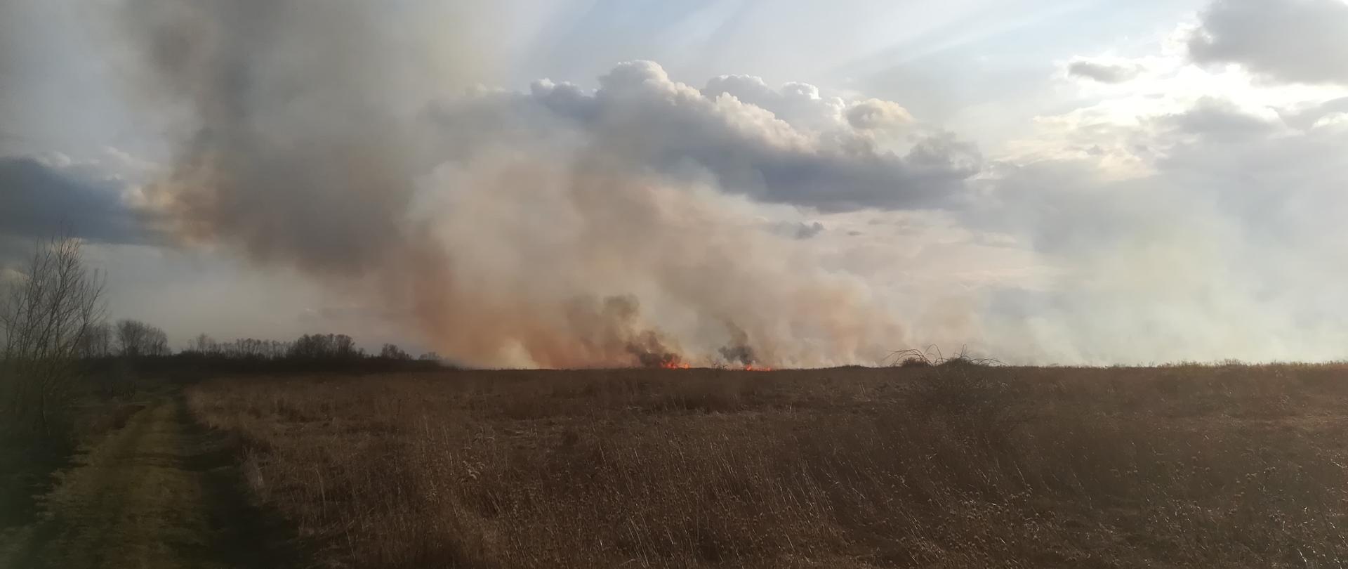 Zdjęcie zrobione na rozległym terenie, po lewej stronie biegnie droga gruntowa na horyzoncie widać płomienie z palącej się trawy i unoszący się dym. Na zachmurzonym niebie widać promienie słońca zza chmur. 