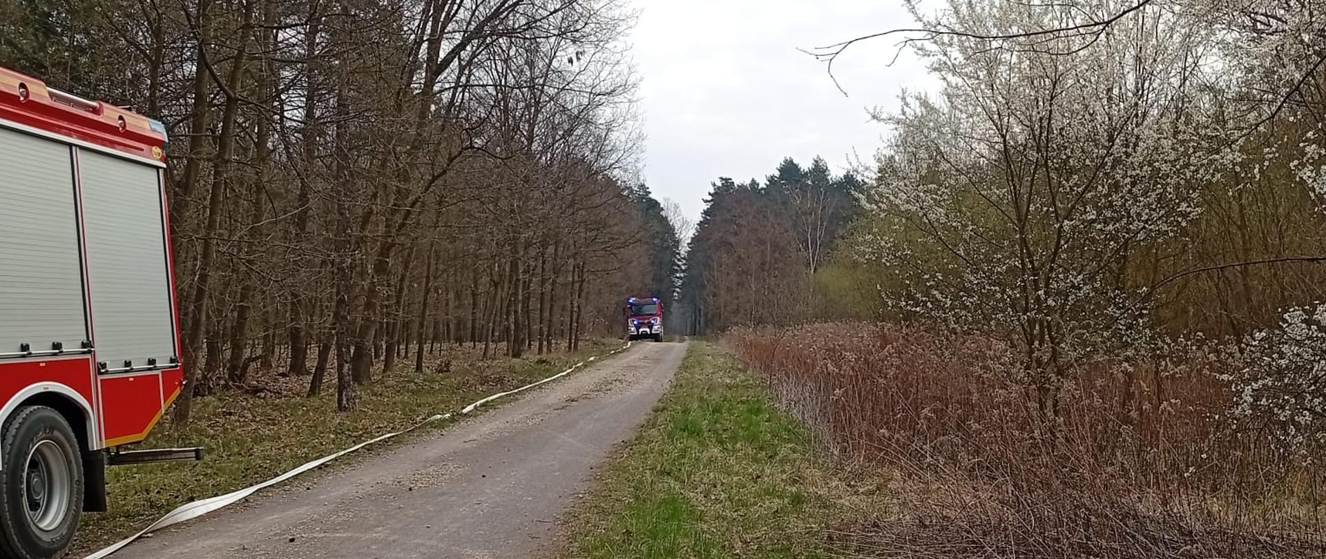 Droga leśna z wozem strażackim po lewej i drugim pojazdem w oddali; wzdłuż drogi biegnie wąż.