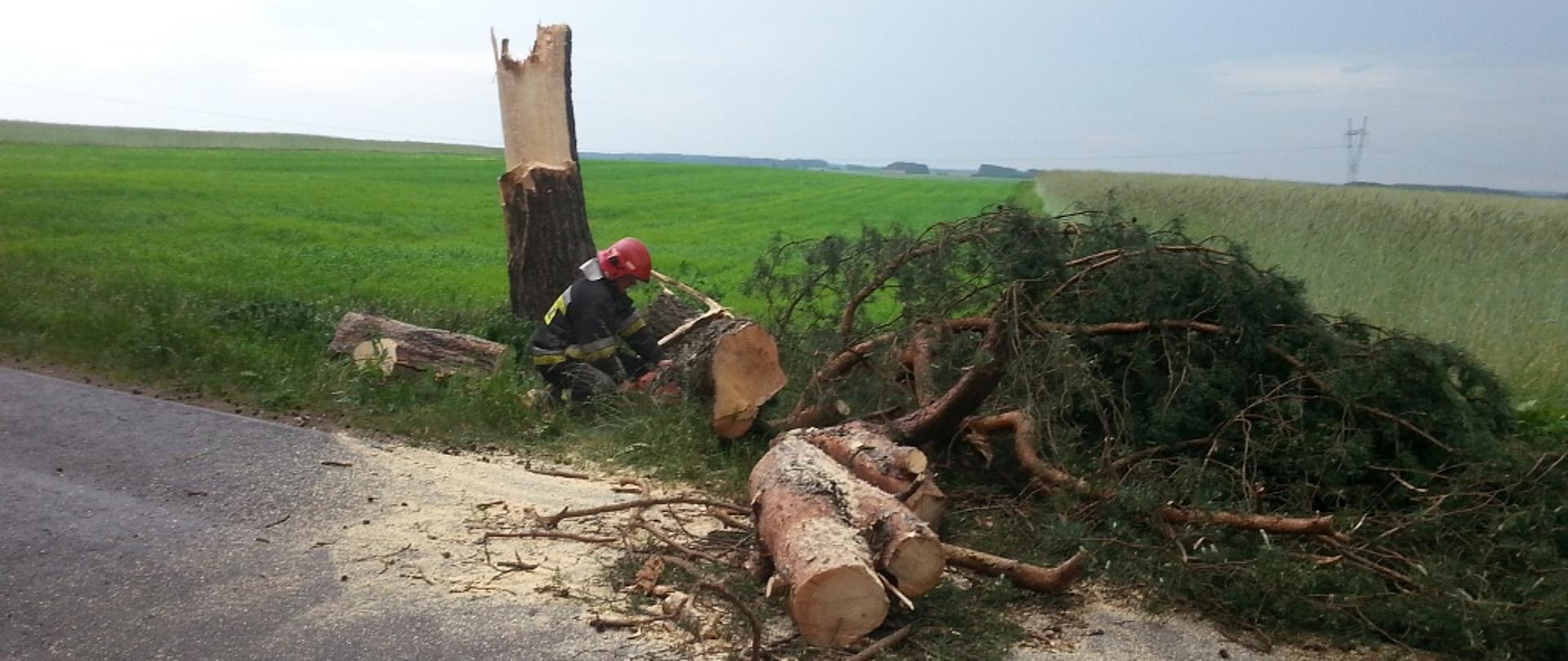 Na zdjęciu widać strażaka który tnie na mniejsze fragmenty połamane drzewo 