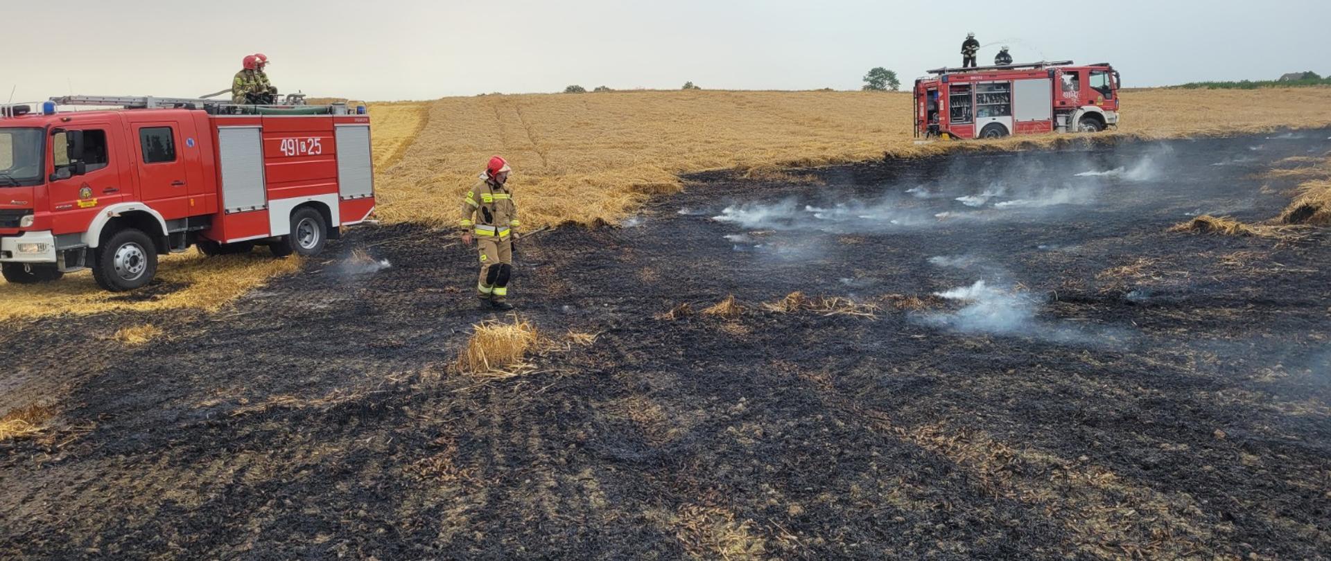 Na zdjęciu strażacy podczas akcji gaśniczej