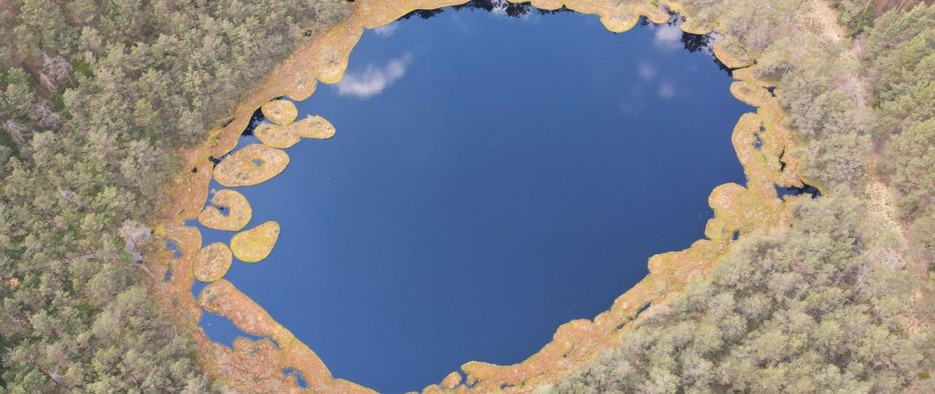 Obszar Natura 2000 Bory Tucholskie - rezerwat przyrody Jeziorka Kozie