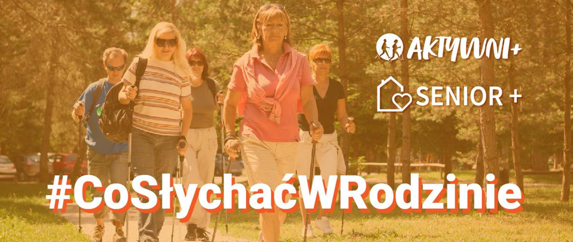 Ludzie uprawiają nordic walking