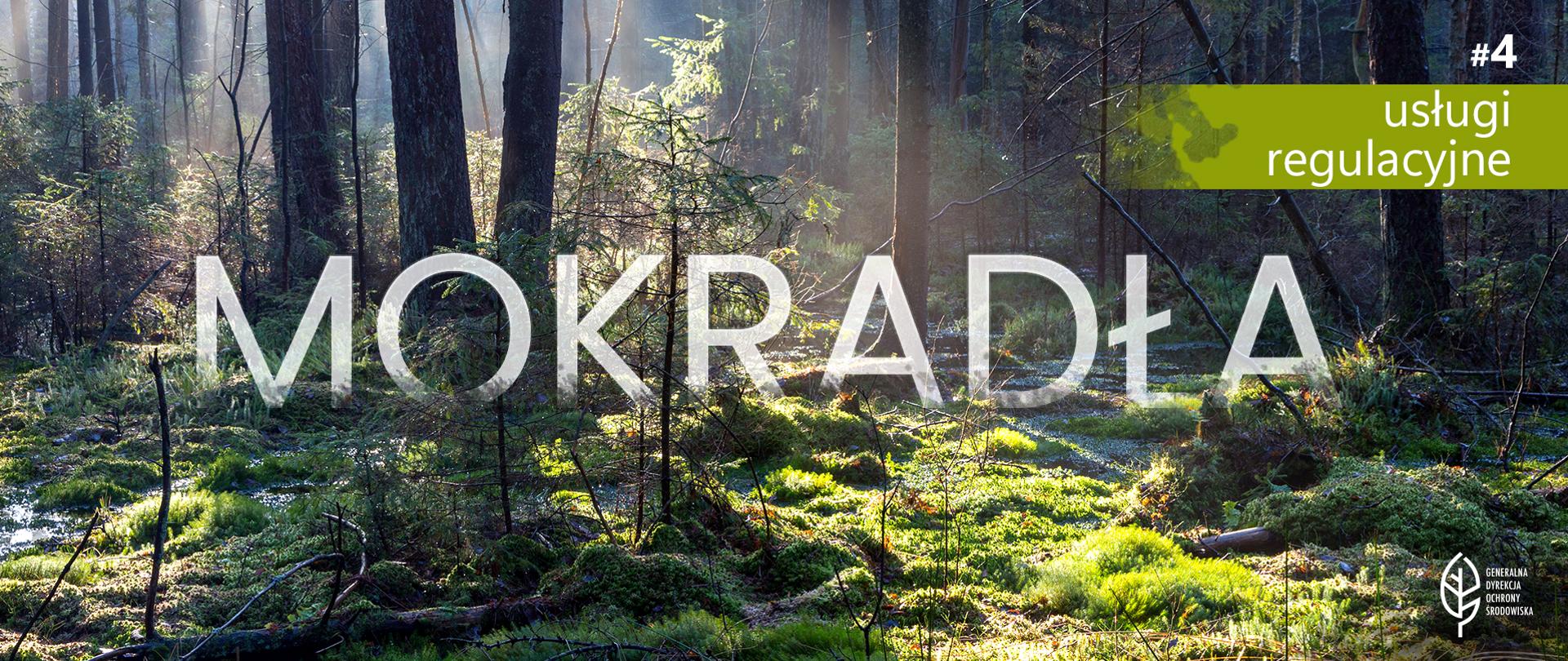Zdjęcie przedstawia podmokły las. Przez korony wysokich drzew przebijają się promienie słoneczne. Runo leśne jest gęsto porośnięte zielonym mchem. Widać młode drzewka, paprocie oraz powalone gałęzie i konary. Na zdjęciu nałożone są napisy: na samym środku wielki, biały półprzezroczysty napis "MOKRADŁA" . W prawym górnym rogu jasnozielony pasek z białym napisem "#4 usługi regulacyjne". W prawym dolnym rogu znajduje się biały logotyp Generalnej Dyrekcji Ochrony Środowiska (biały liść).