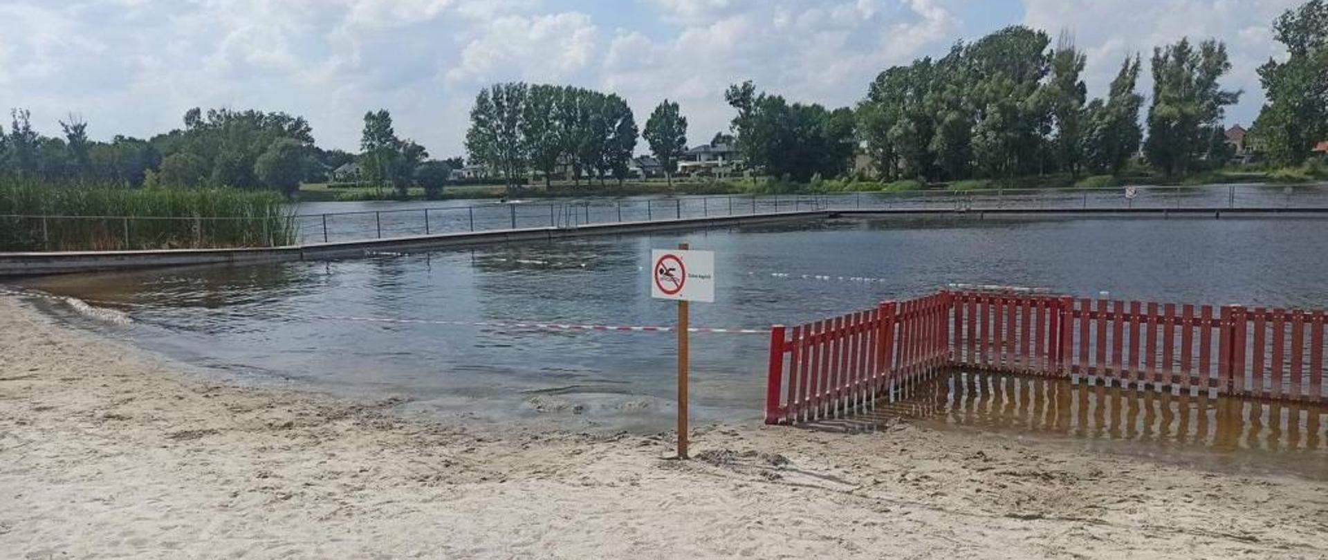 ŚNIĘTE RYBY W ZALEWIE ŚREDZKIM