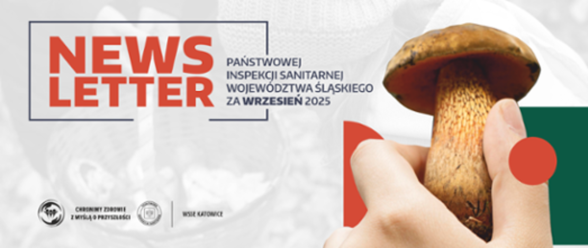 dłoń z grzybem News Letter