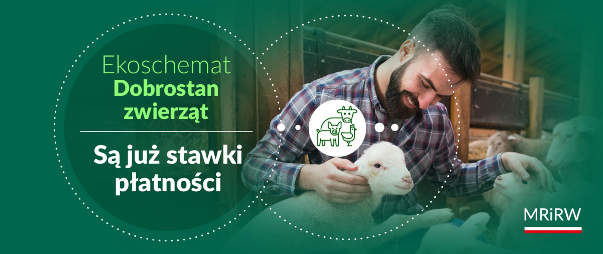 Ekoschemat Dobrostan zwierząt - stawki płatności 