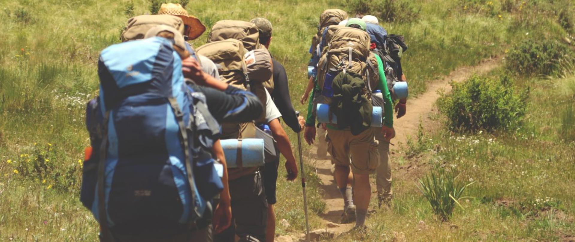 Grupa turystów górskich widziana od tyłu