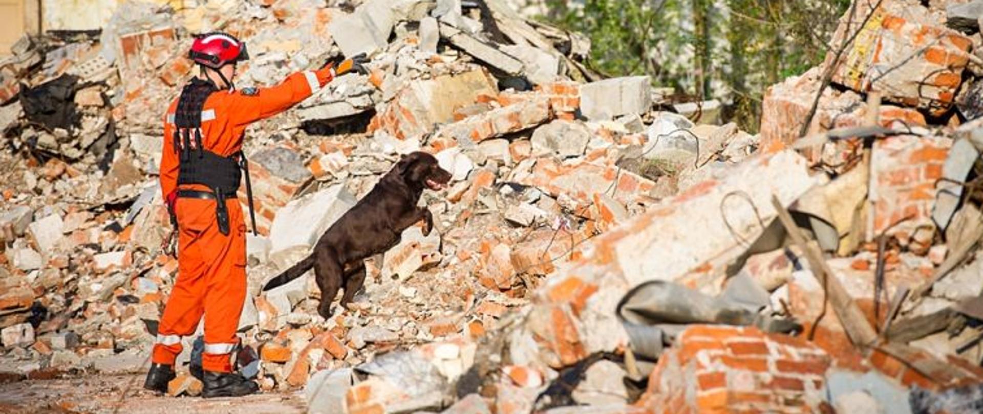 Międzynarodowy Dzień Psa Ratowniczego