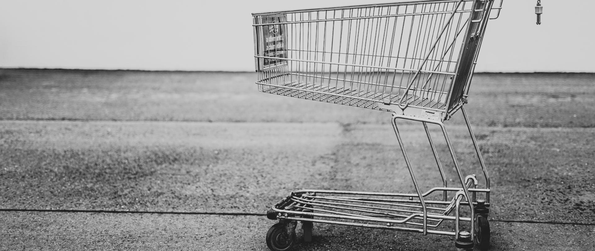 Kosz sklepowy na kółkach