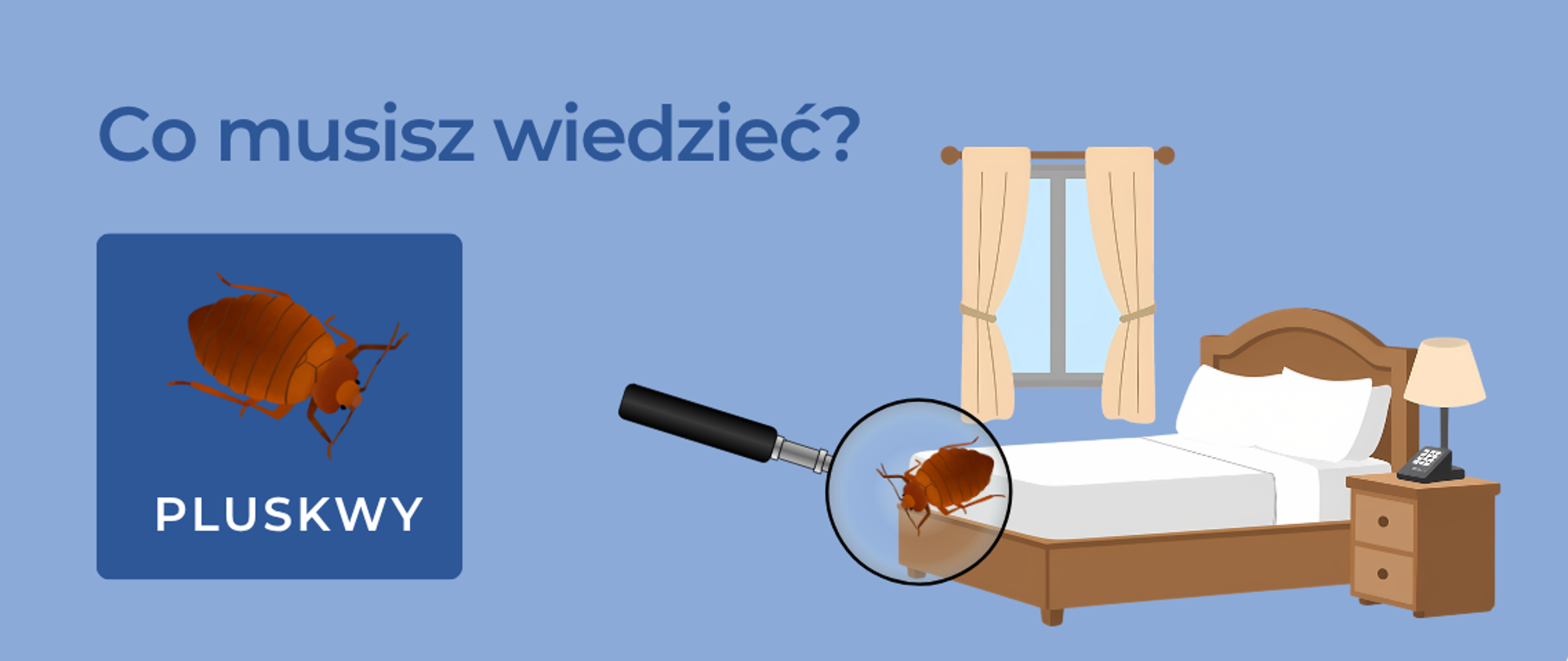 na górze napis - co musisz wiedzieć? na dole obrazek - łóżko i pluskwa 