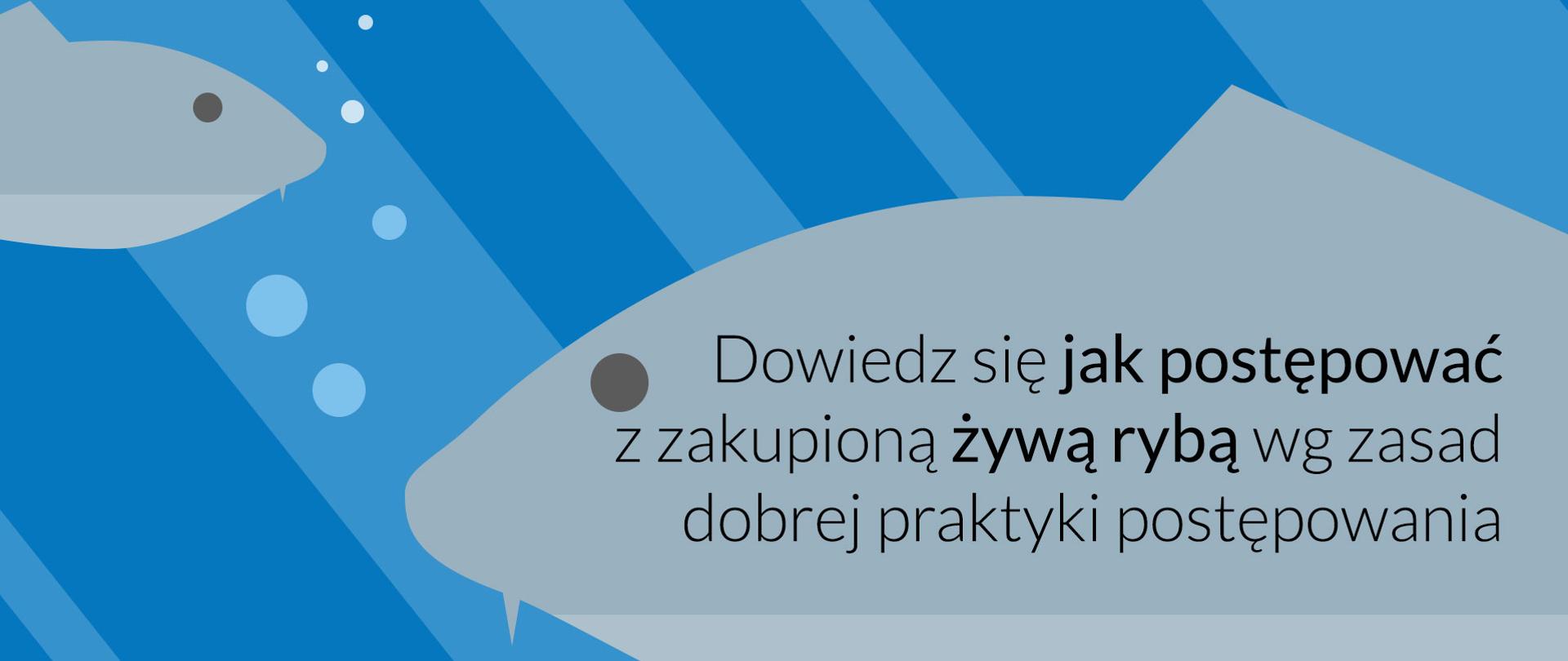 Dowiedz się jak postępować z zakupioną żywą rybą wg zasad dobrej praktyki postępowania 
