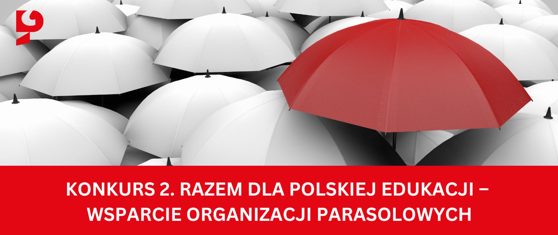 Razem dla polskiej edukacji – wsparcie organizacji parasolowych 