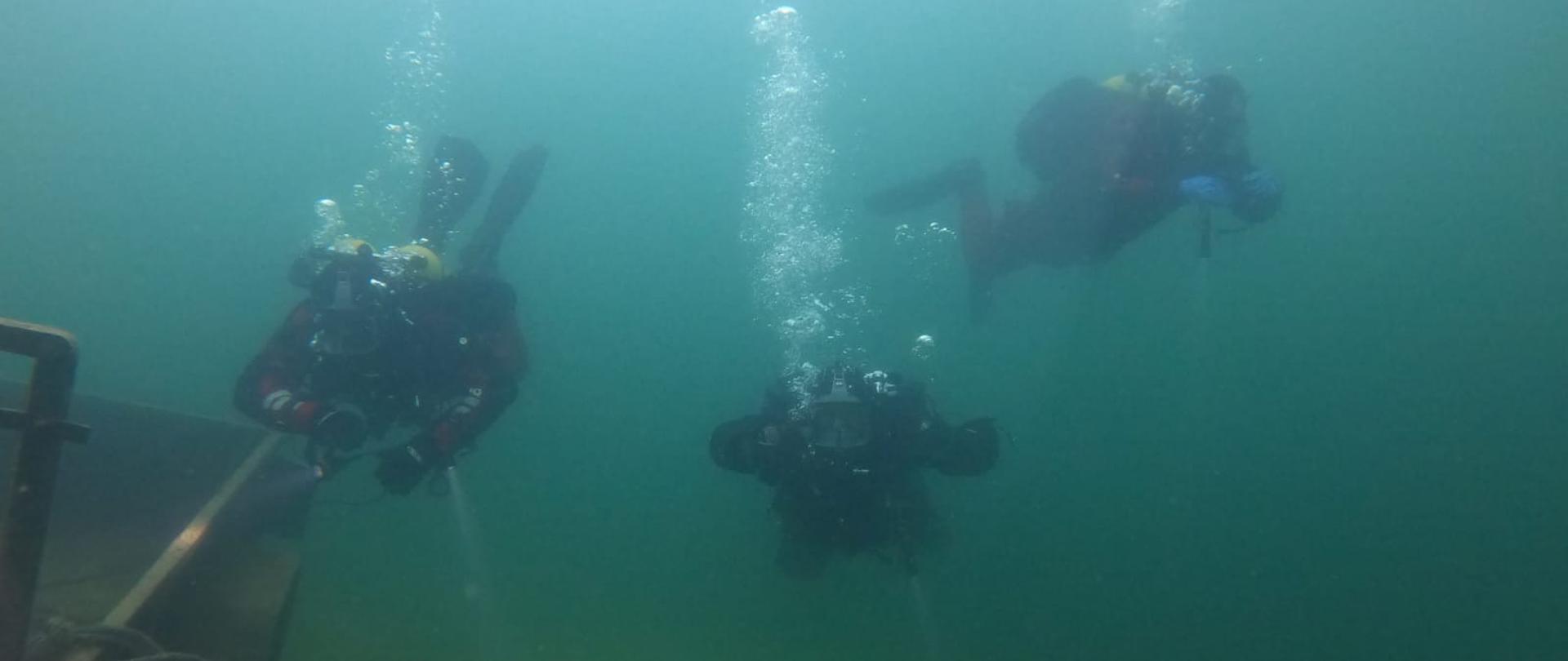 trzech nurków pod wodą 