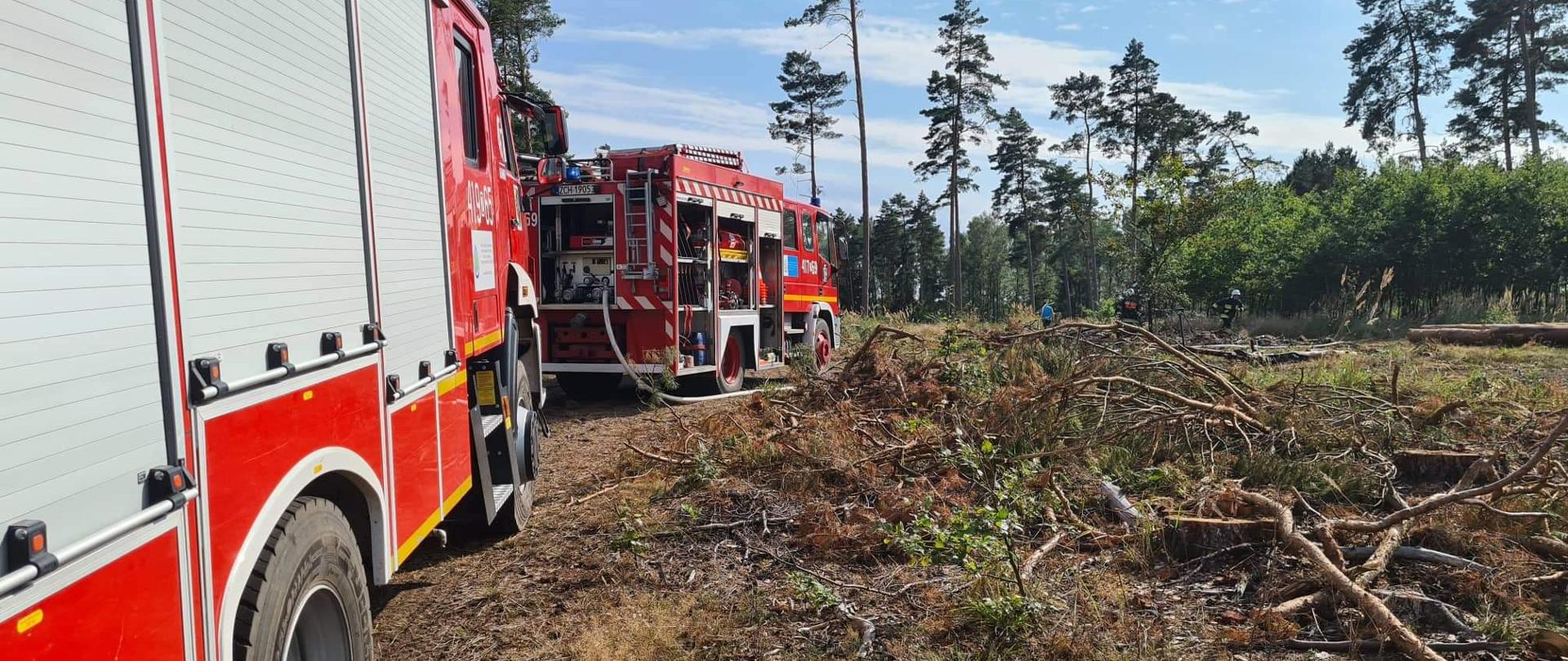 Na fotografii po lewej stronie znajdują się dwa wozy strażackie, ustawione jeden za drugim. Dookoła znajduje się ścioła leśna, a na niej leżą gałęzie. W oddali po prawej stronie widać strażaków, którzy przy użyciu węża strażackiego i prądownicy dogaszają pogorzelisko znajdujące się pomiędzy pojedynczymi drzewami. Strażacy ubrani są w ubrania specjalne oraz hełmy - jest ich dwóch. Zdjęcie wykonano w porze dziennej, przy prawie bezchmurnym niebie.