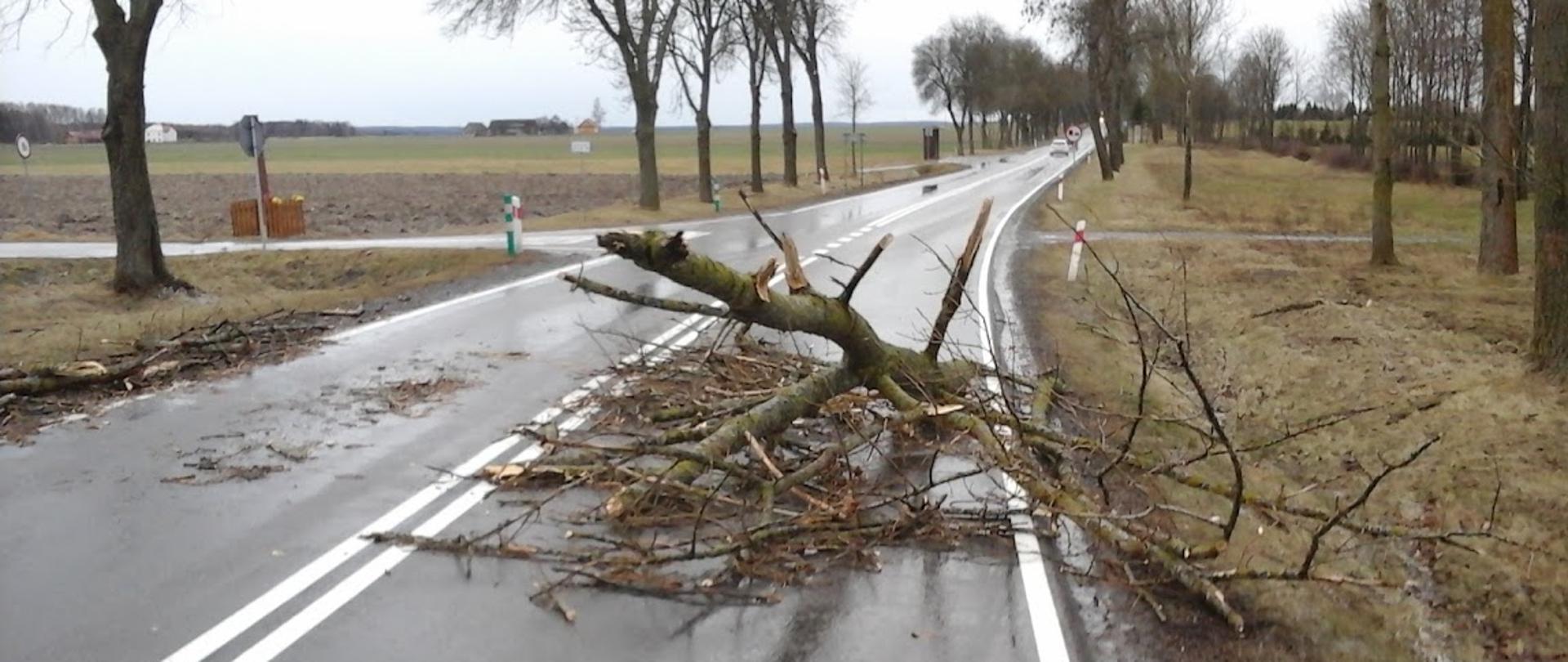 Złamany konar drzewa leżący na jezdni blokuje ruch na drodze.