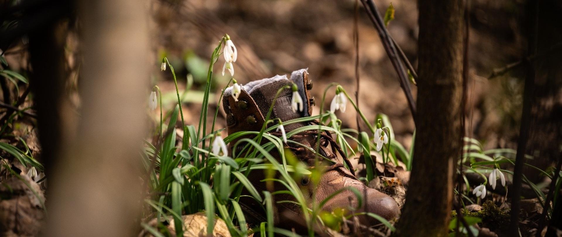 Pierwszy dzień wiosny