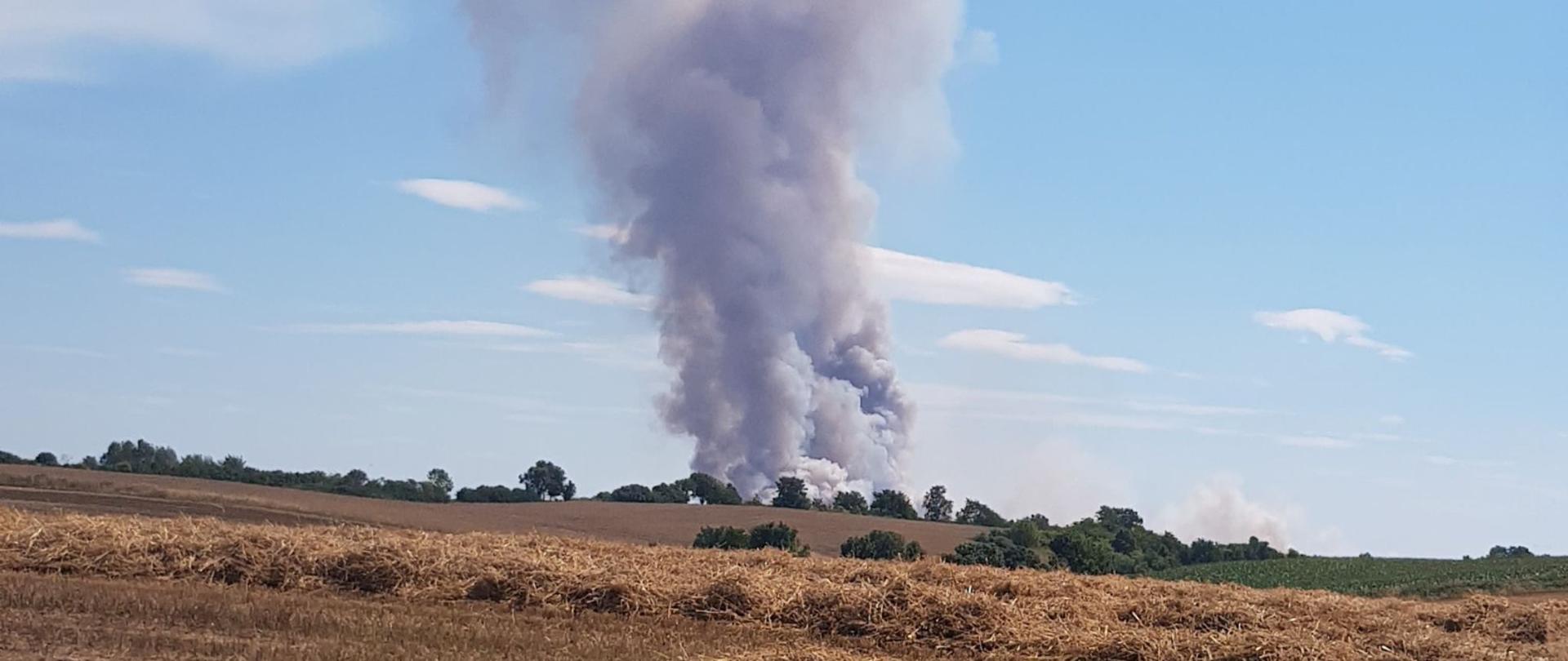 Zdjęcie przedstawia pożar ścierniska.