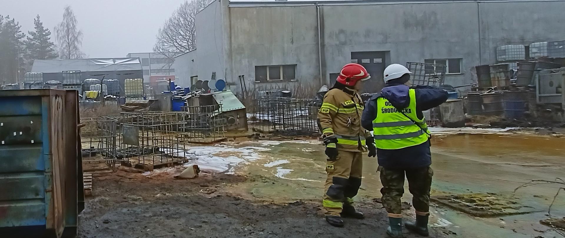 Inspektor WIOŚ w Gdańsku wraz ze strażakiem podczas oględzin terenu