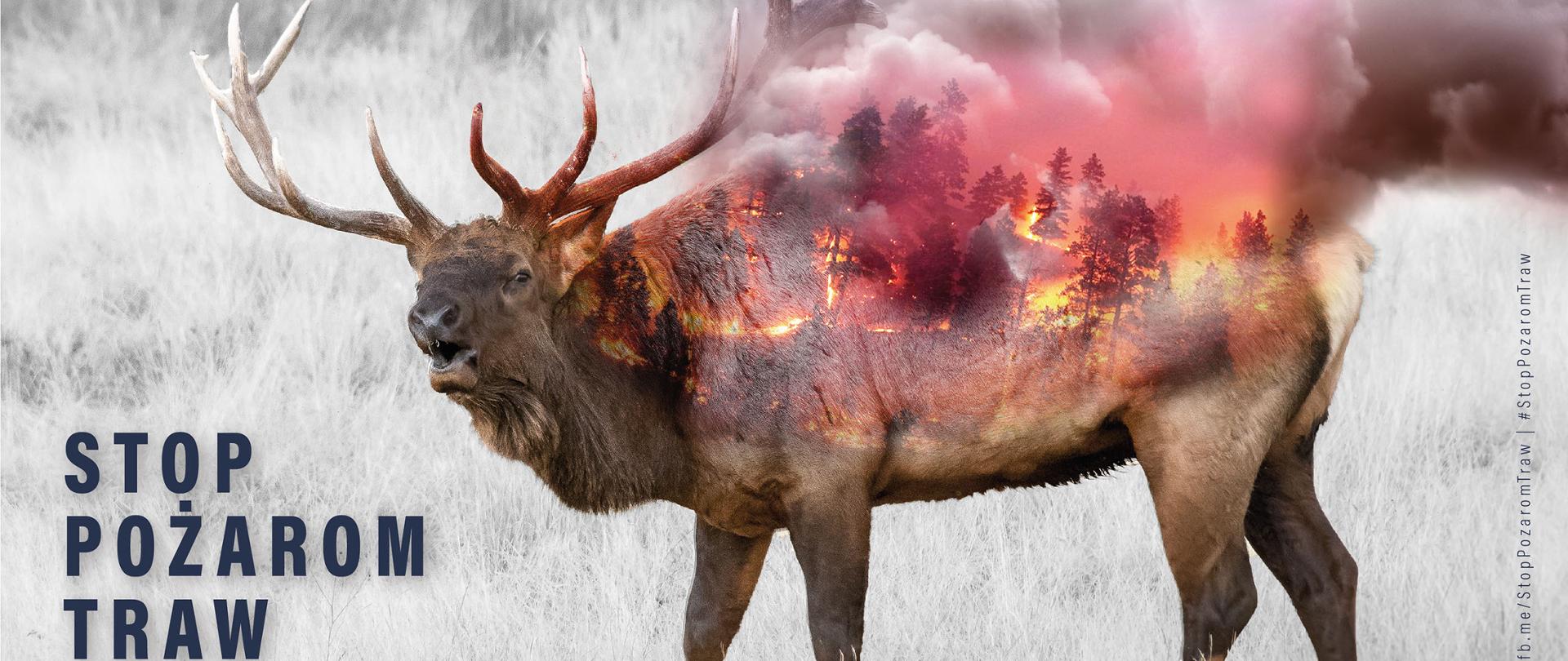 Akcja społeczno-informacyjna "Stop Pożarom Traw"