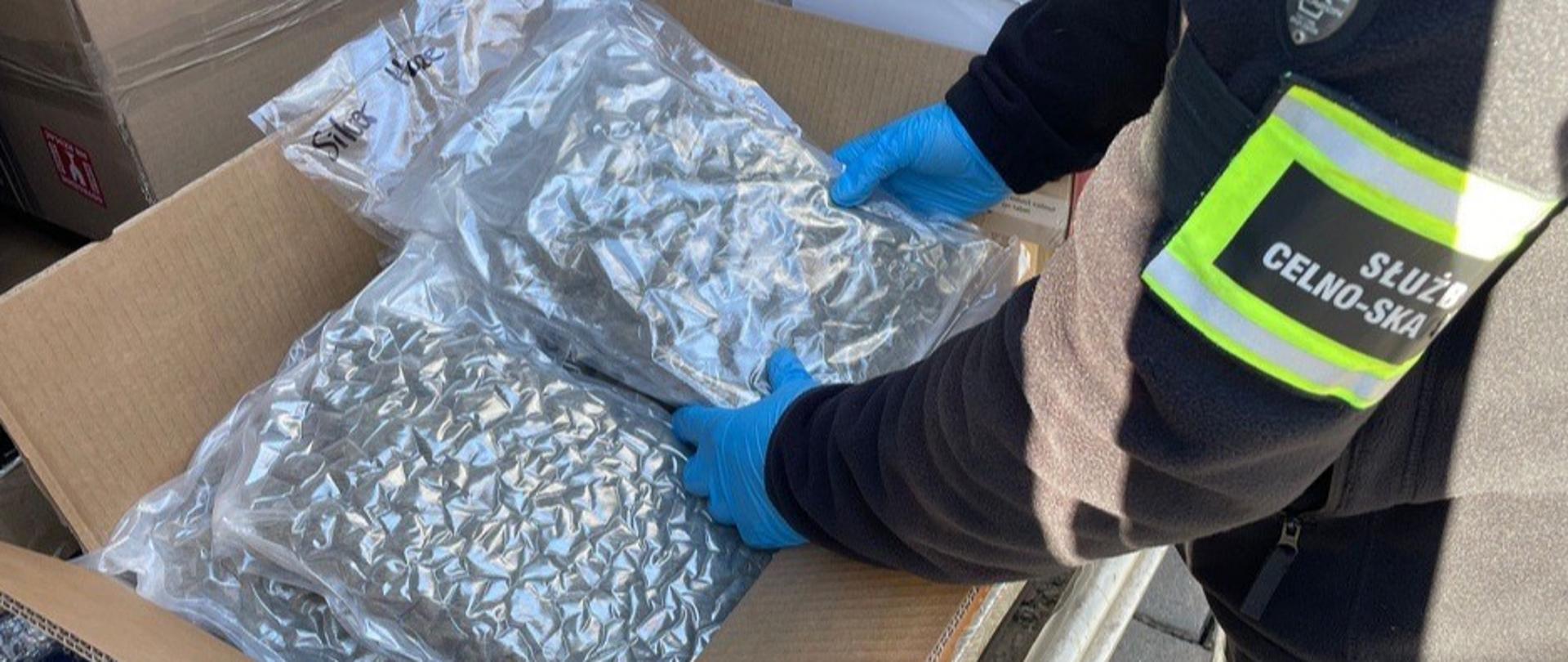 Osoba trzyma foliowe, próżniowo pakowane worki z suszem roślinnym znajdującym się w kartonie.