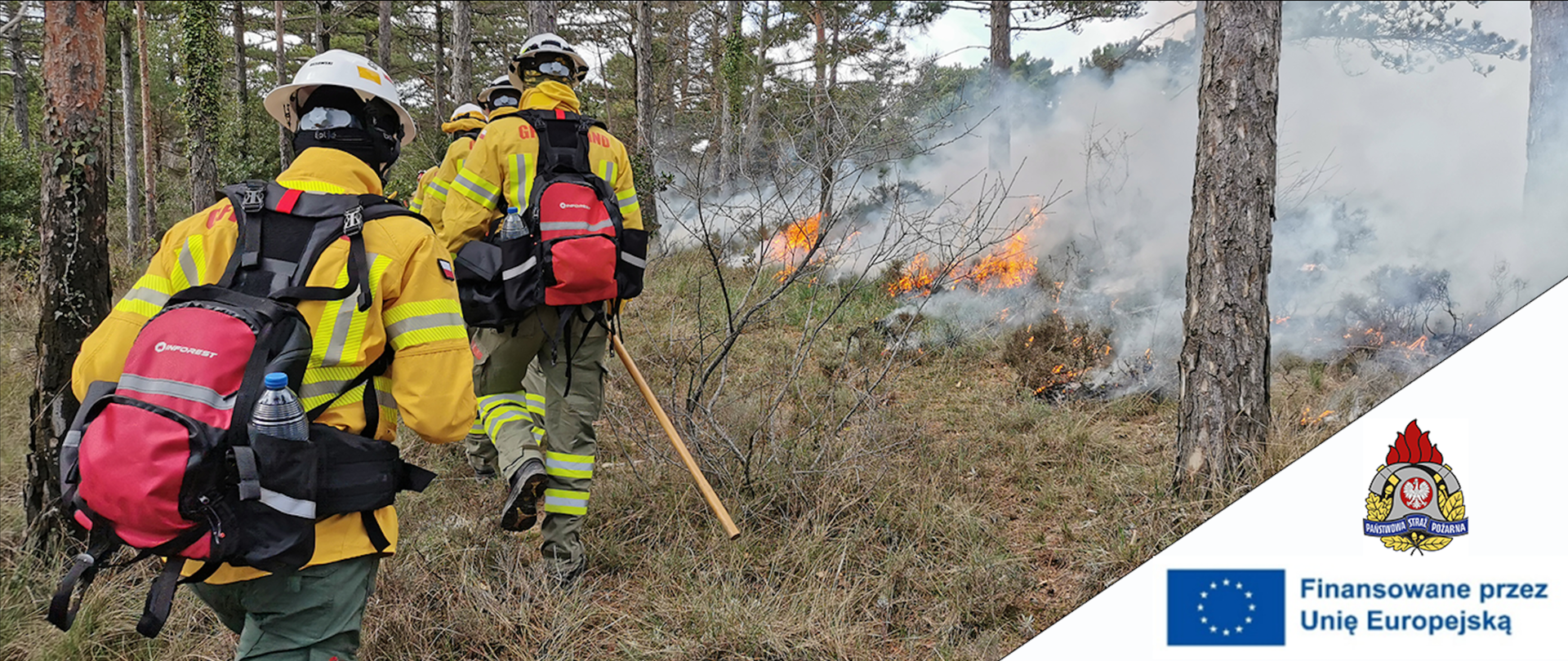 Strażacy z plecakami i narzędziami idą przez las w kierunku ognia widocznego na ściółce leśnej.
