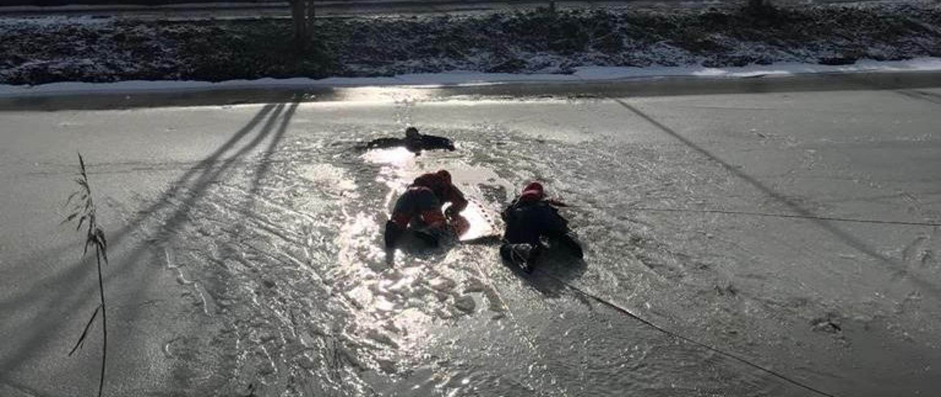 Dwóch strażaków ubranych w skafandry do ratownictwa wodnego czołga się po lodzie w kierunku osoby znajdującej się w przeręblu.