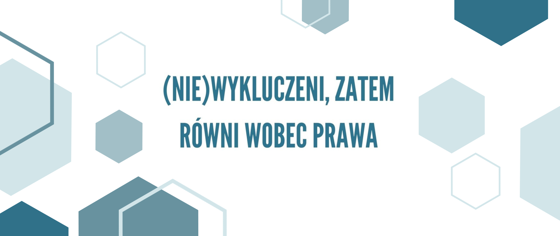 Baner projektu (Nie)wykluczeni, zatem równi wobec prawa