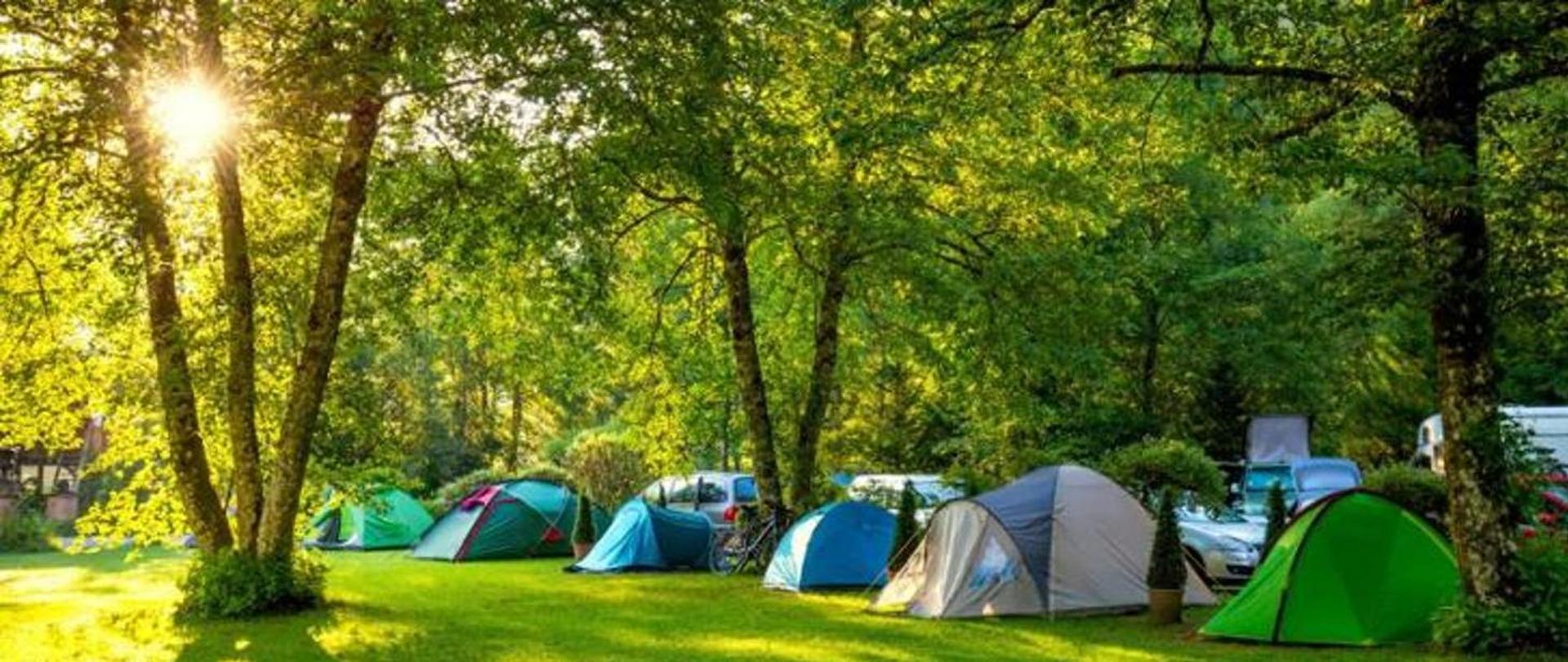 Na zdjęciu widoczne rozłożone namioty wśród drzew i trawy, w oddali widać również auta oraz przedzierające się słońce pomiędzy drzewami.