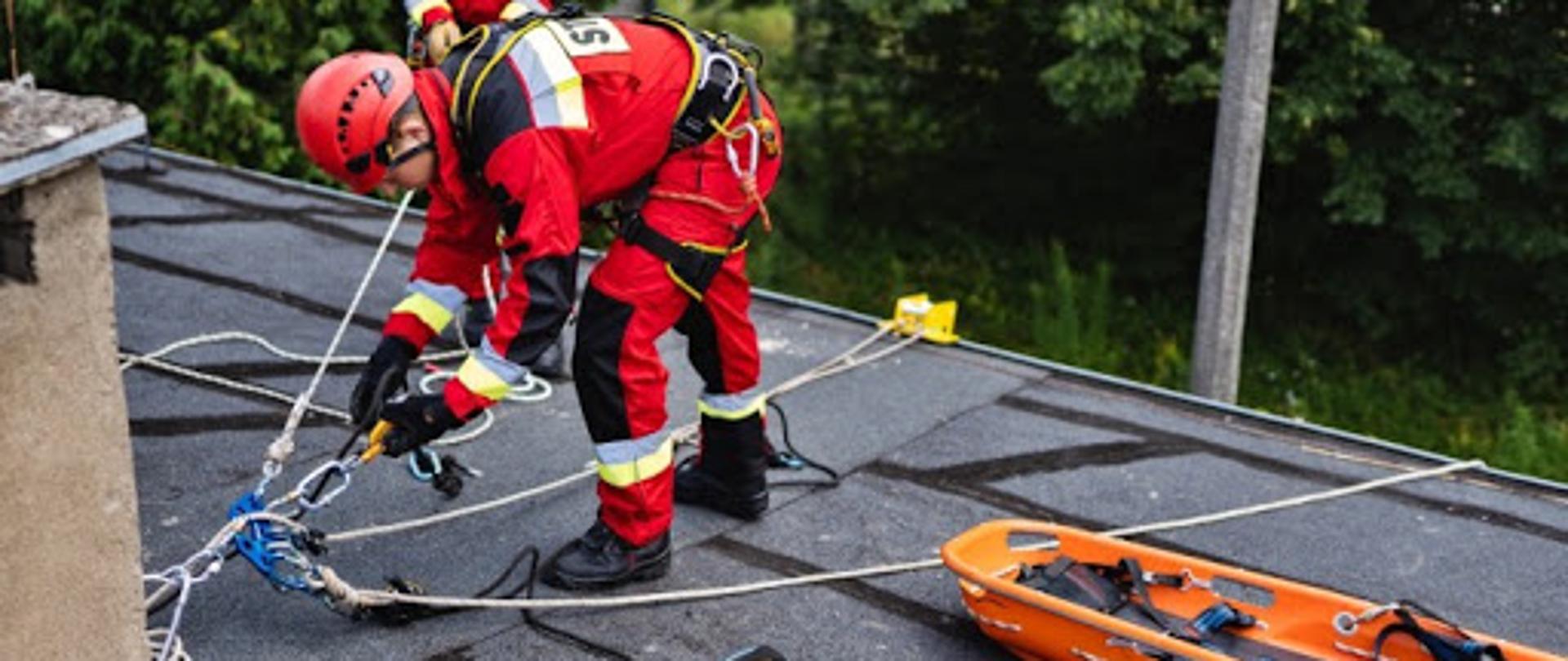 grupy_specjalistyczne