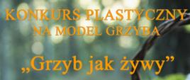Konkurs plastyczny Grzyb jak żywy 2025