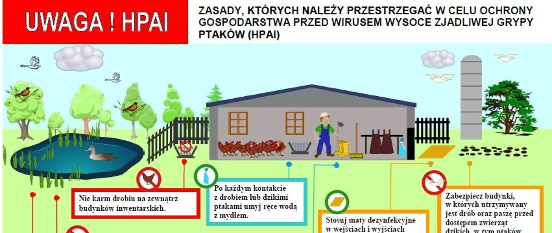 Zdjęcie to przedstawia ulotkę HPAI