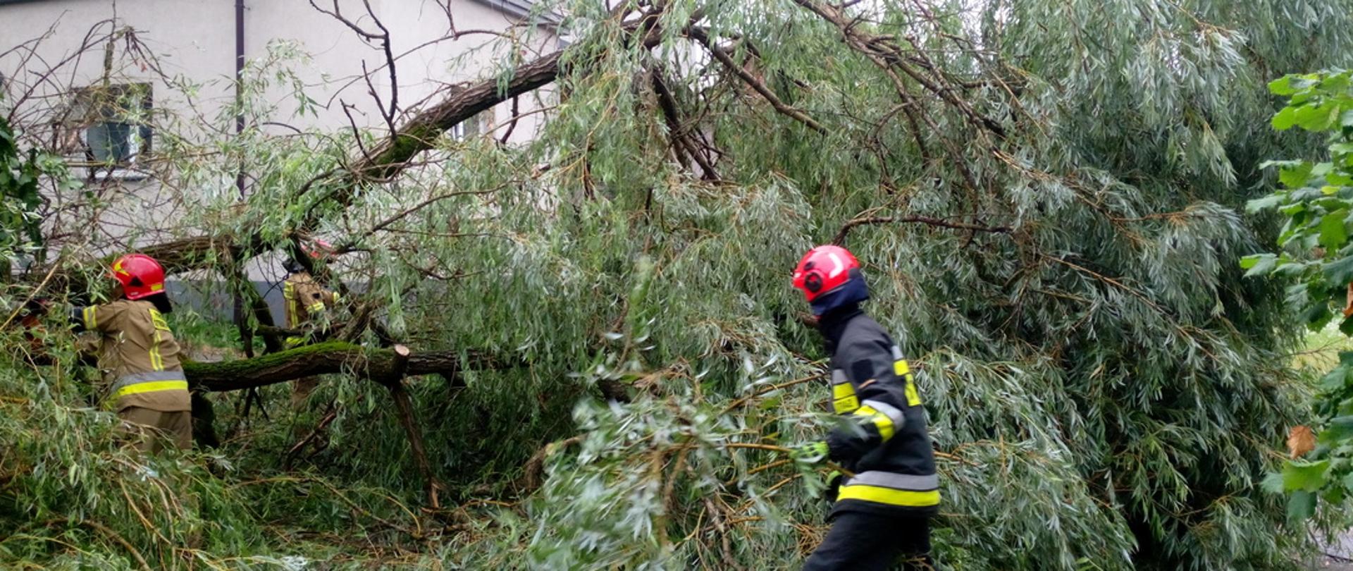Strażacy wycinają uszkodzone drzewo