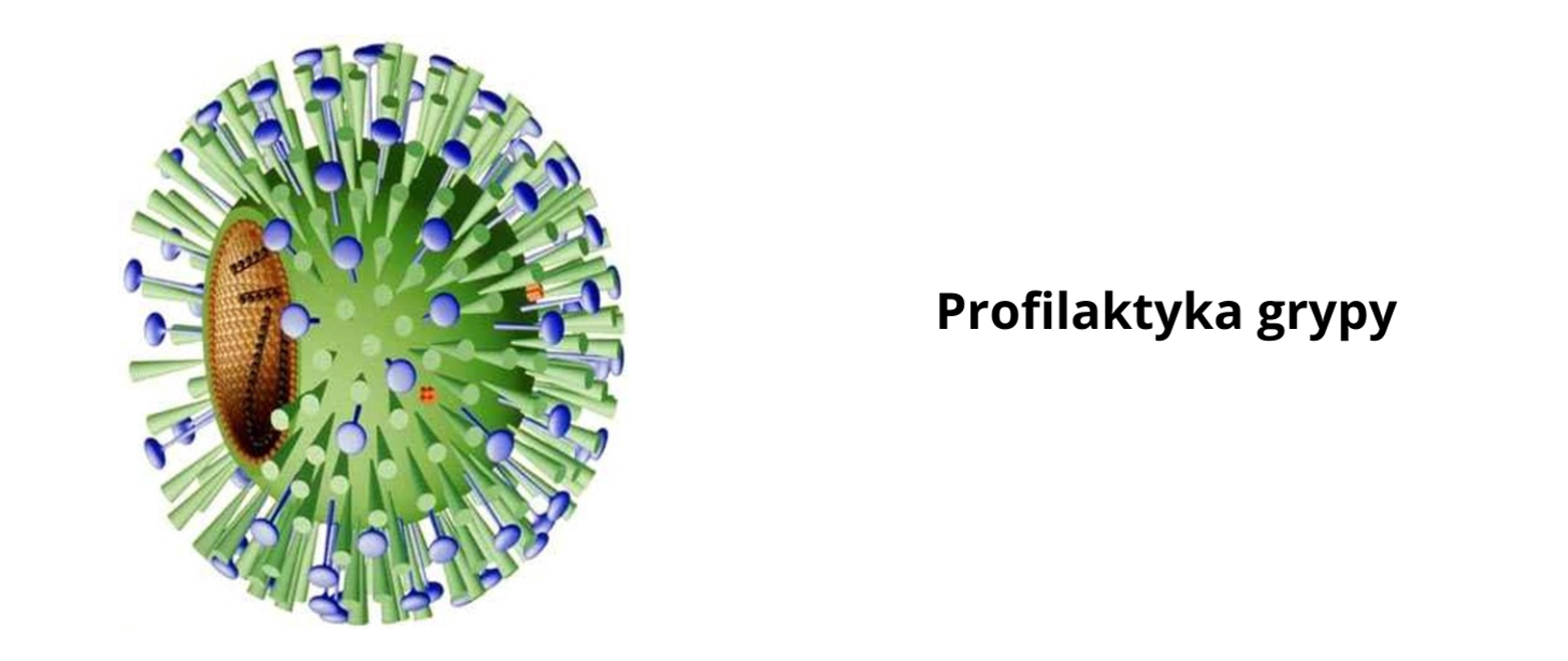 Profilaktyka_Grypy
