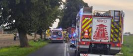 Wypadek na terenie powiatu radziejowskiego. Zdjęcie przedstawia drogę wojewódzką, na której doszło do wypadku. na pierwszym planie wozy straży pożarnej, karetka pogotowia, radiowóz Policji oraz strażacy PSP i OSP.