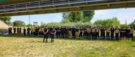 Duża grupa kilkudziesięciu strażaków w ubraniach ratowniczych stoi ustawiona w równym szyku na trawiastym terenie pod betonowym wiaduktem mostu drogowego. Po lewej stronie widać stok nasypu. Strażacy stoją tyłem do obiektywu, a na czele szyku znajduje się instruktor, który prowadzi odprawę.