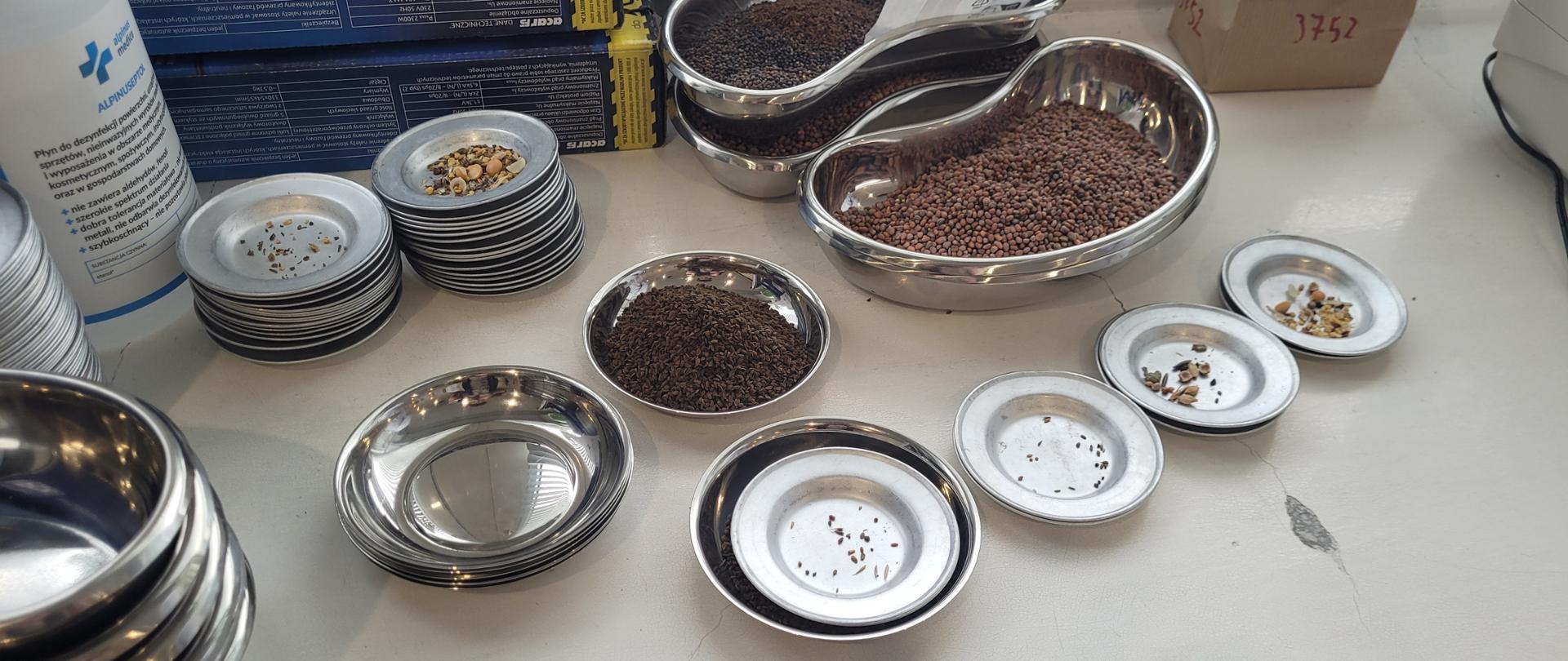 Stanowisko przygotowane do warsztatów dla analityków nasiennych