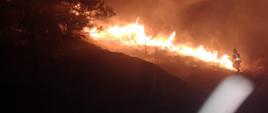 Na zdjęciu widać pożar traw w porze nocnej oraz strażaka, który przy pomocy tłumicy gasi ten pożar.