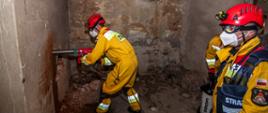 Strażacy Specjalistycznej Grupy Ratownictwa Technicznego "Brzeg" - trzej strażacy ubrani w żółte kombinezony z czerwonymi kaskami na głowie w maseczkach ochronnych i goglach w trakcie wykonywania otworu w ścianie po lewej stronie.