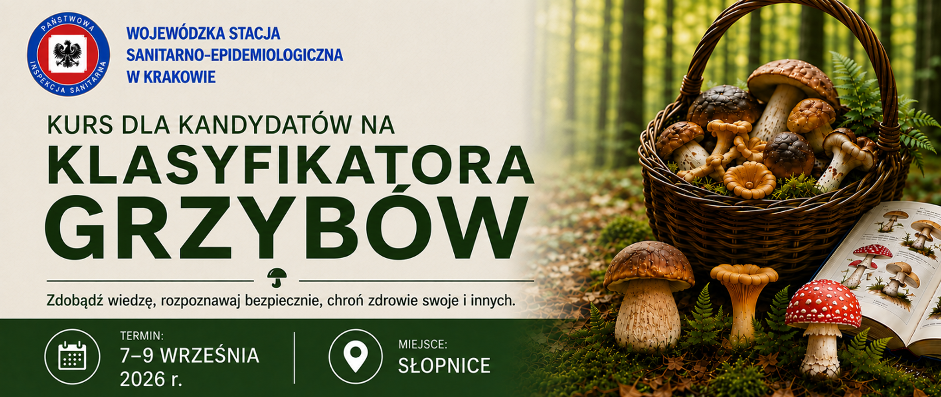 klasyfikator grzybów