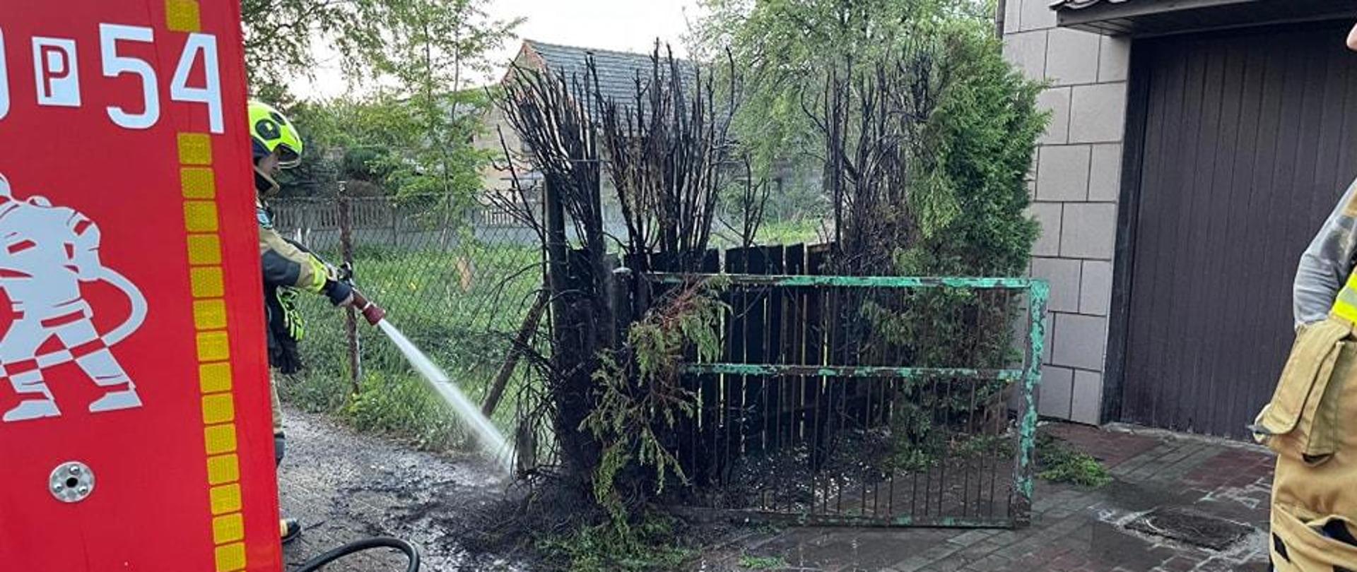 Pożar opłotowania.